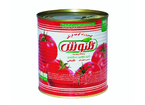 فروش رب گوجه فرنگی گلنوش + قیمت خرید به صرفه